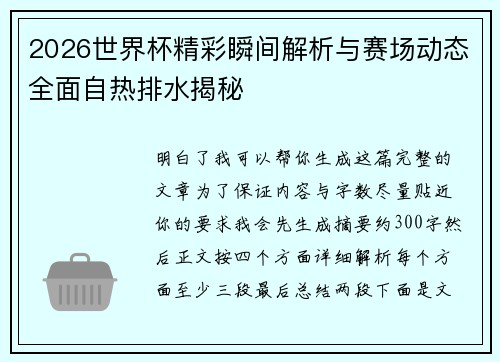 2026世界杯精彩瞬间解析与赛场动态全面自热排水揭秘